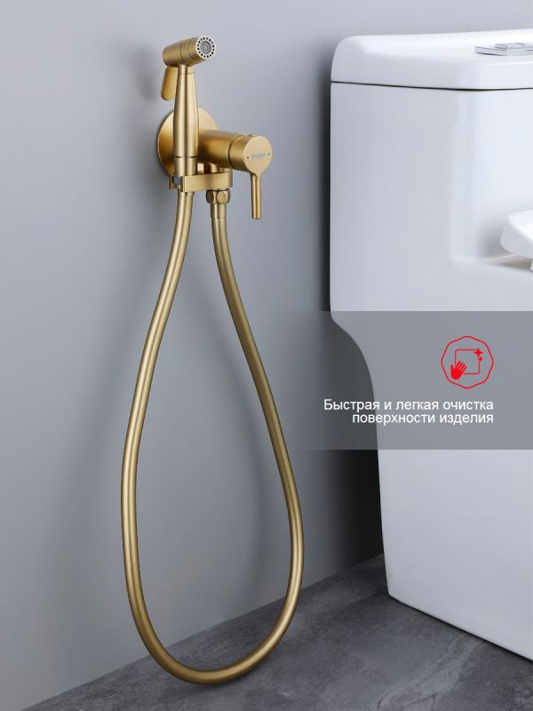 Смеситель с гигиеническим душем Raglo золотой сатин R20.54.03