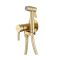 Смеситель с гигиеническим душем Raglo золотой сатин R20.54.03