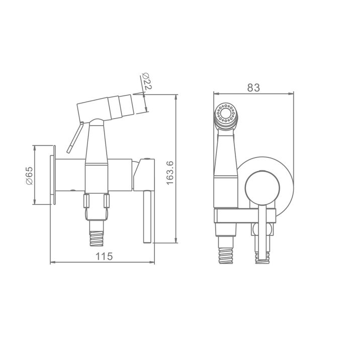 Смеситель с гигиеническим душем Raglo сатин R20.54.05