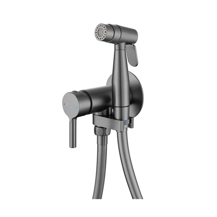 Смеситель с гигиеническим душем Raglo оружейная сталь R20.54.09