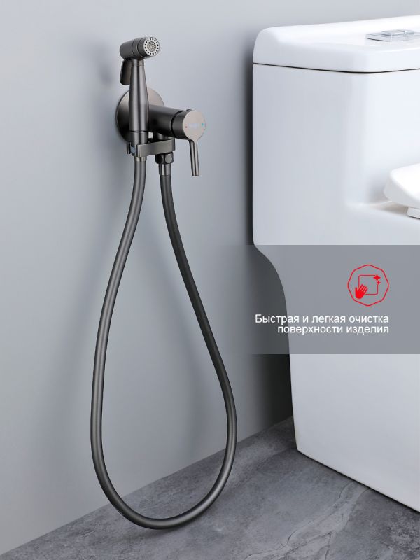Смеситель с гигиеническим душем Raglo оружейная сталь R20.54.09