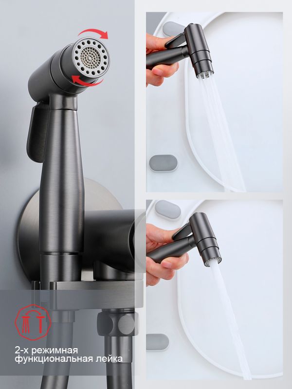 Смеситель с гигиеническим душем Raglo оружейная сталь R20.54.09