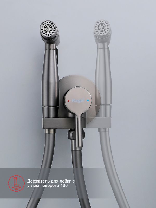 Смеситель с гигиеническим душем Raglo оружейная сталь R20.54.09