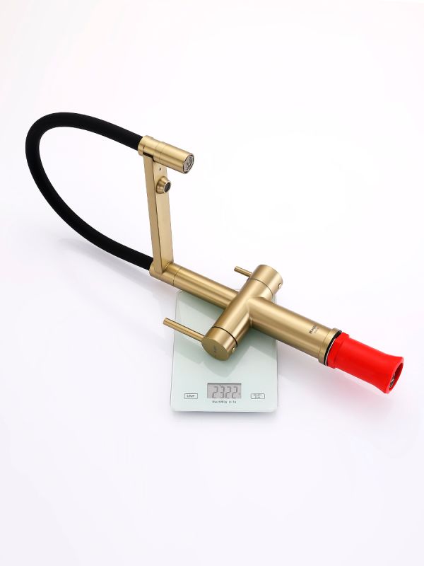 Смеситель для кухни Raglo сатин золотой R20.63.03