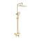 Душевая система с термостатом Raglo сатин золото R22.26.03