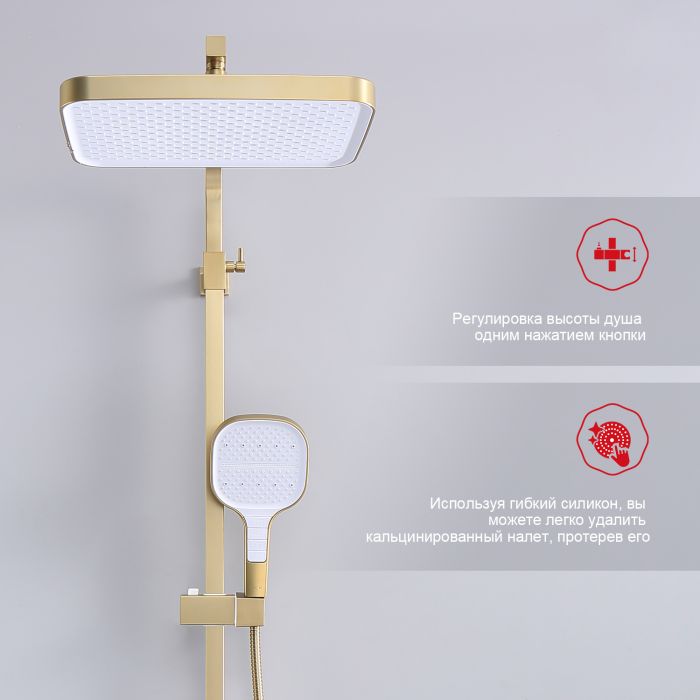 Душевая система Raglo сатин золото R51.24.03