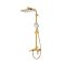 Душевая система Raglo сатин золото R51.24.03