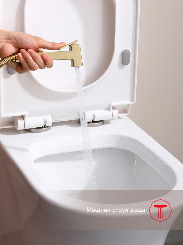 Смеситель с гигиеническим душем Raglo золотой сатин R51.52.03