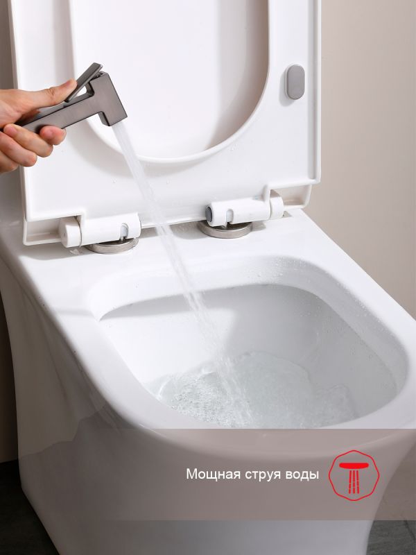 Смеситель с гигиеническим душем Raglo оружейная сталь R51.52.09