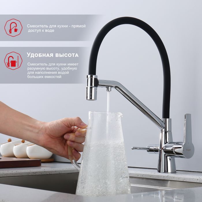 Смеситель для кухни со съемным изливом на магните и подключением фильтра питьевой воды Raglo хром R80.62