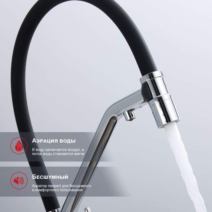 Смеситель для кухни со съемным изливом на магните и подключением фильтра питьевой воды Raglo хром R80.62