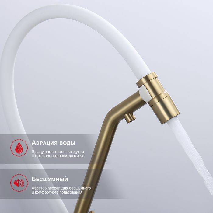 Смеситель для кухни со съемным изливом на магните и подключением фильтра питьевой воды Raglo сатин золото R80.62.03