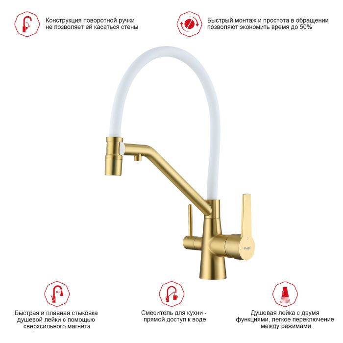 Смеситель для кухни со съемным изливом на магните и подключением фильтра питьевой воды Raglo сатин золото R80.62.03