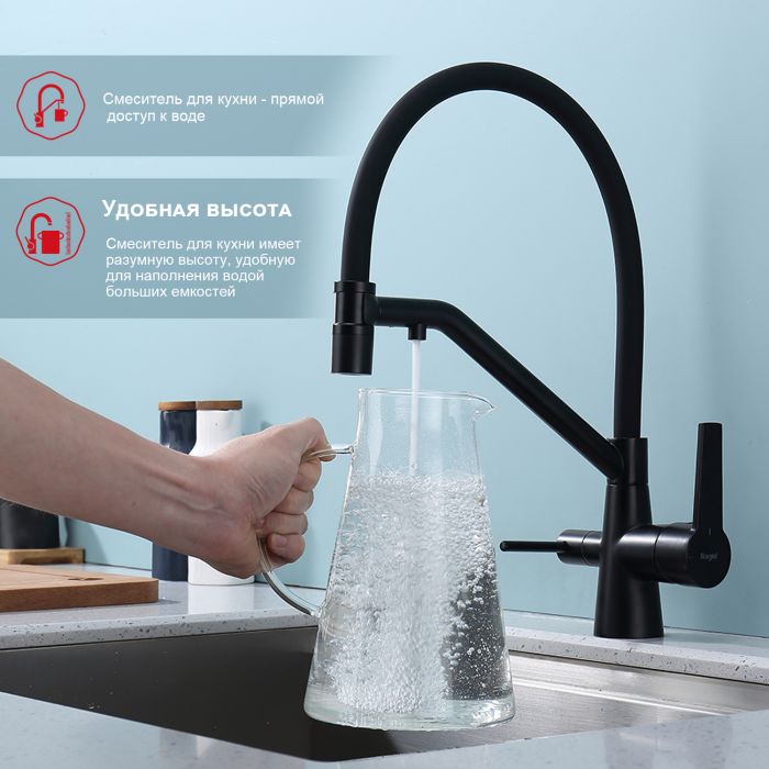 Смеситель для кухни со съемным изливом на магните и подключением фильтра питьевой воды Raglo черный R80.62.06
