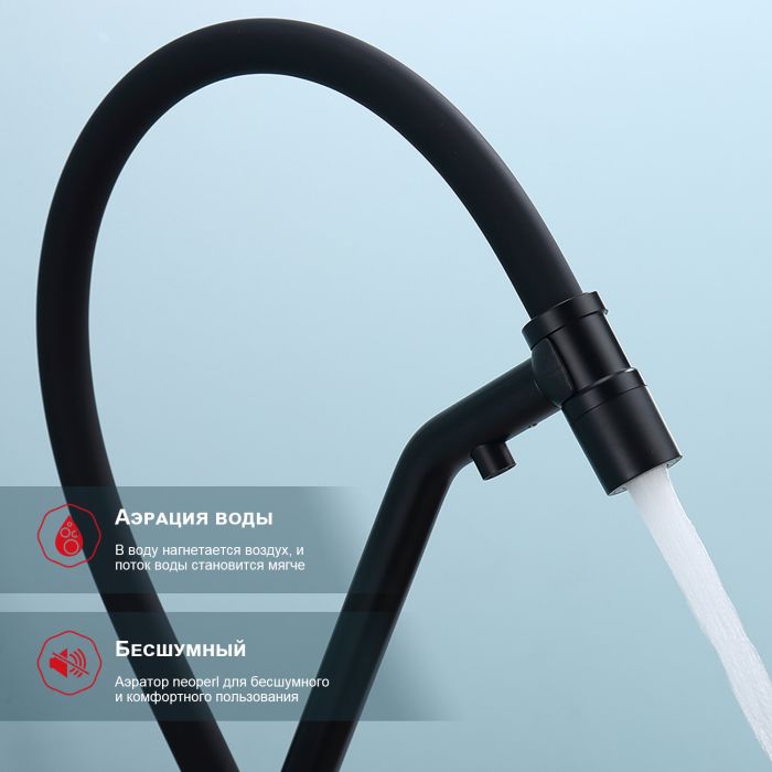 Смеситель для кухни со съемным изливом на магните и подключением фильтра питьевой воды Raglo черный R80.62.06