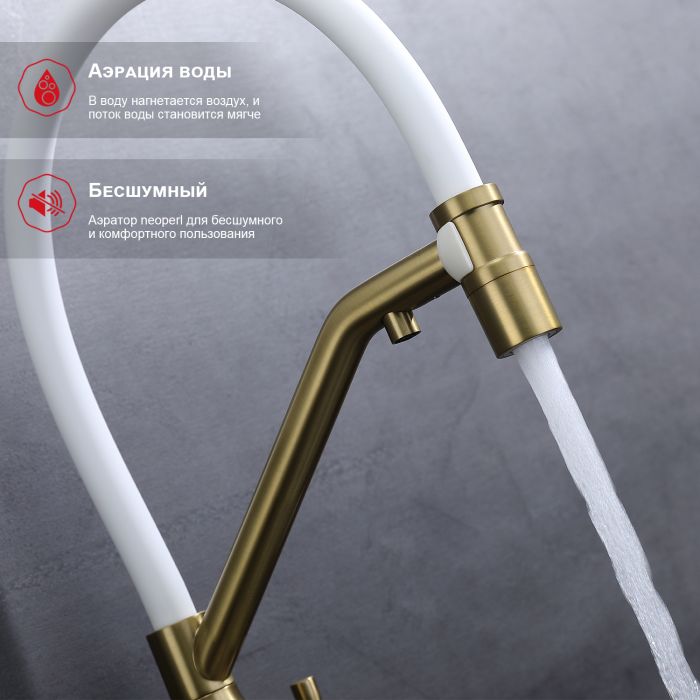 Смеситель для кухни со съемным изливом на магните и подключением фильтра питьевой воды Raglo сатин золото R81.62.03