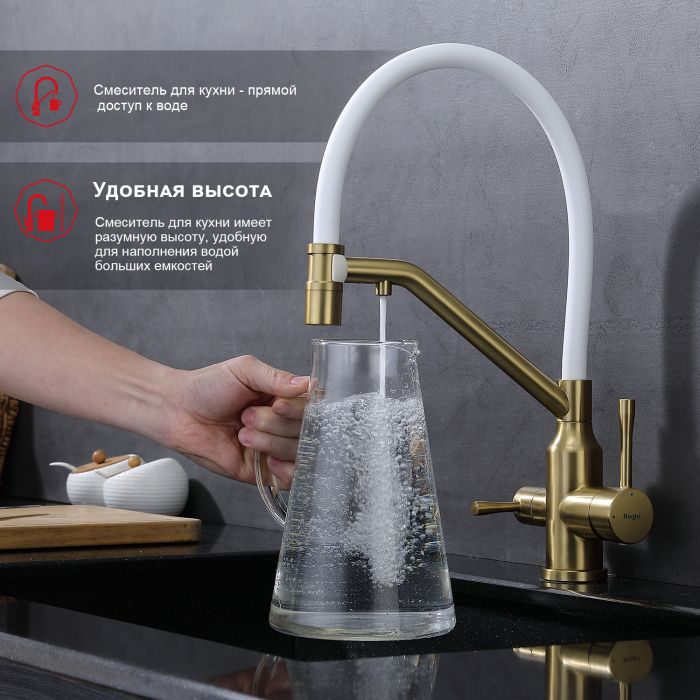 Смеситель для кухни со съемным изливом на магните и подключением фильтра питьевой воды Raglo сатин золото R81.62.03