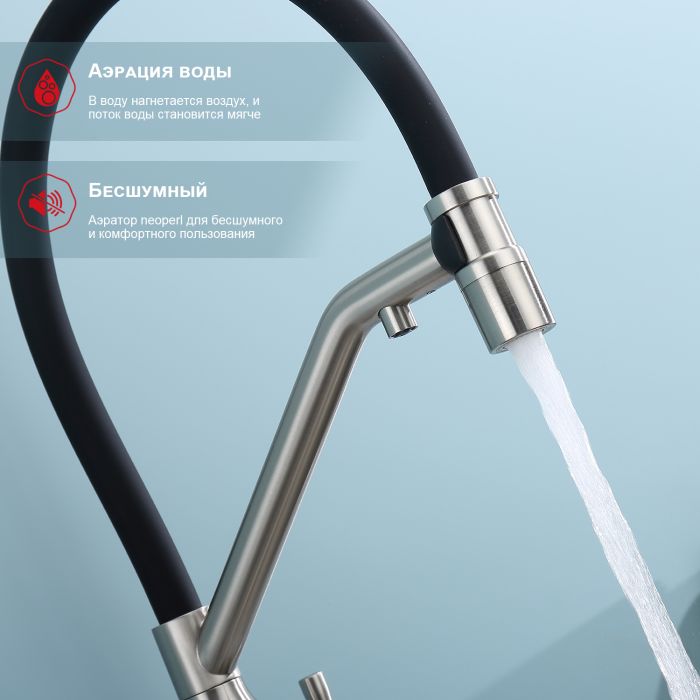 Смеситель для кухни со съемным изливом на магните и подключением фильтра питьевой воды Raglo сатин R81.62.05