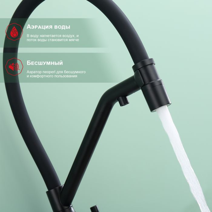 Смеситель для кухни со съемным изливом на магните и подключением фильтра питьевой воды Raglo черный R81.62.06