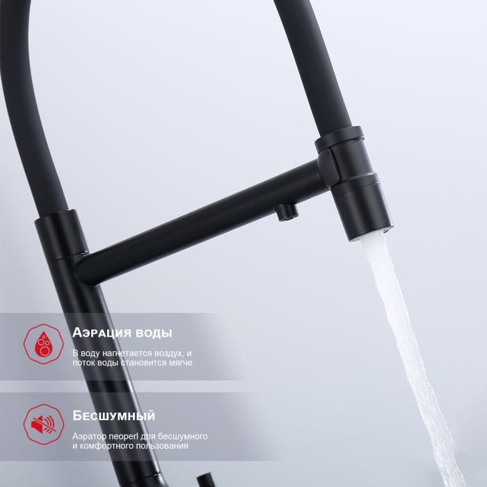 Смеситель для кухни со съемным изливом на магните и подключением фильтра питьевой воды Raglo черный R81.63.06