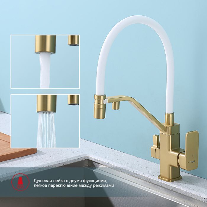 Смеситель для кухни с подключением к фильтру питьевой воды Raglo сатин золото R85.62.03