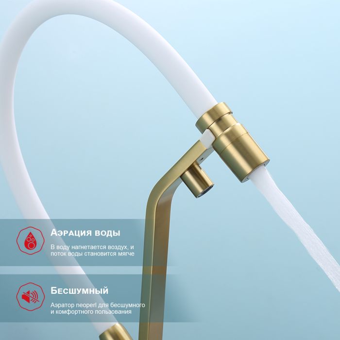 Смеситель для кухни с подключением к фильтру питьевой воды Raglo сатин золото R85.62.03