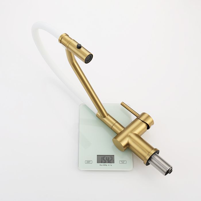 Смеситель для кухни со съемным изливом на магните Raglo сатин золото R86.41.03