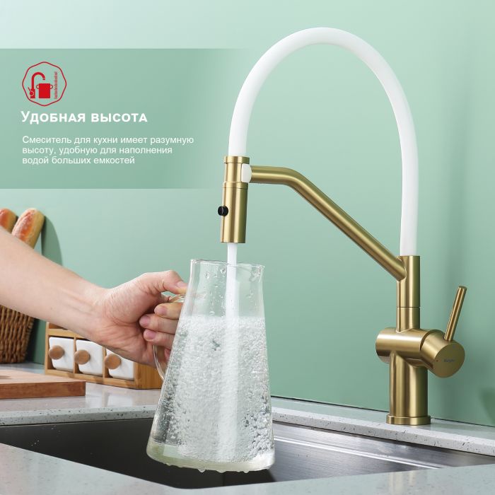 Смеситель для кухни со съемным изливом на магните Raglo сатин золото R86.41.03