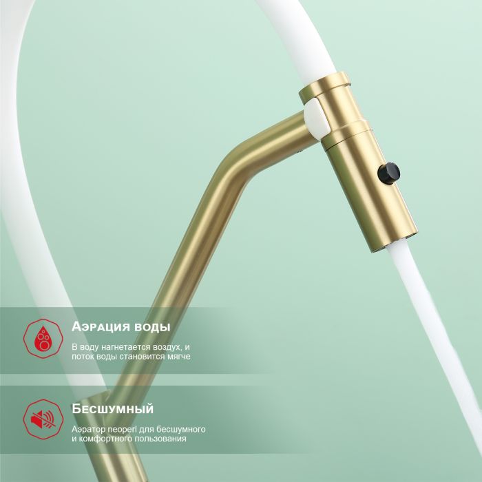 Смеситель для кухни со съемным изливом на магните Raglo сатин золото R86.41.03