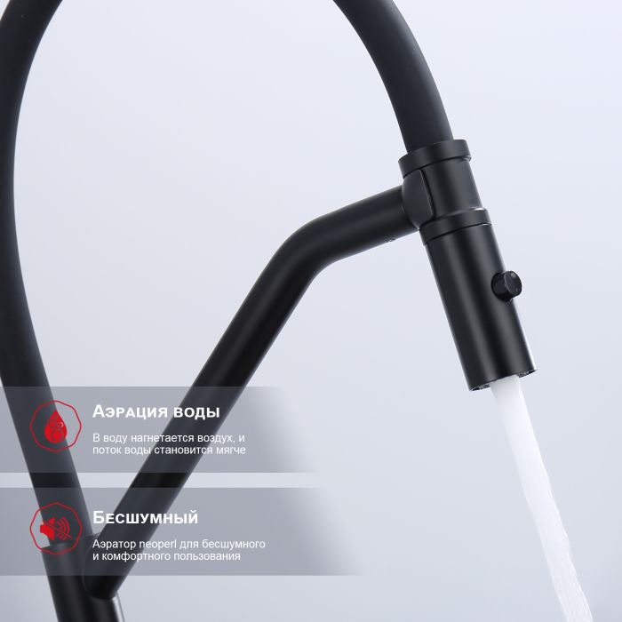 Смеситель для кухни со съемным изливом на магните Raglo черный R86.41.06