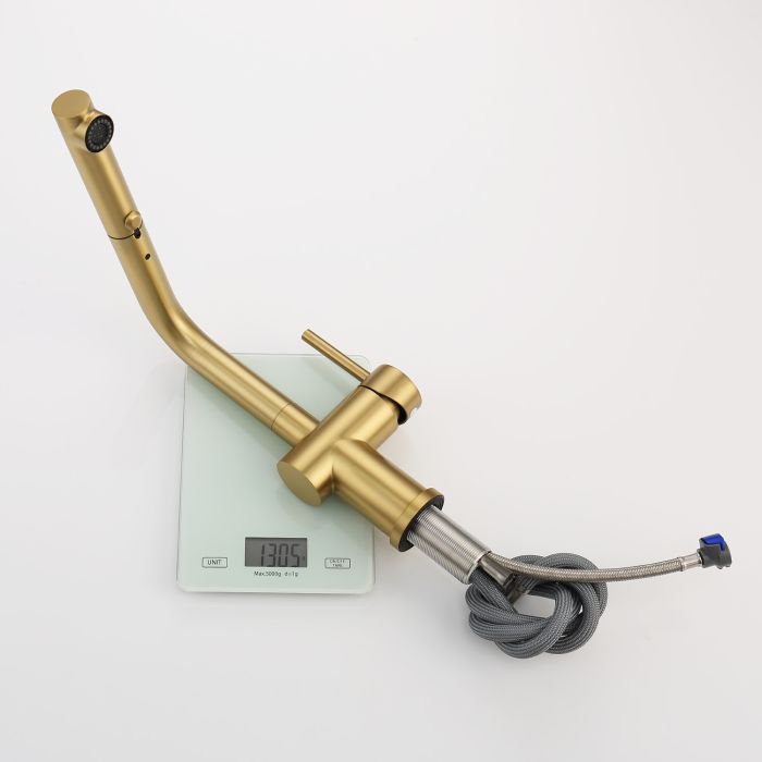 Смеситель для кухни с выдвижным изливом Raglo сатин золото R86.49.03