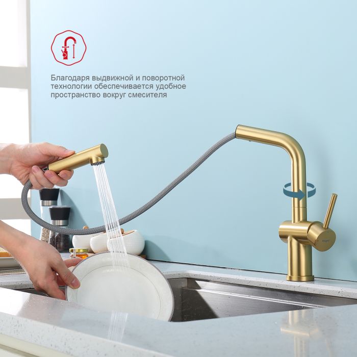 Смеситель для кухни с выдвижным изливом Raglo сатин золото R86.49.03