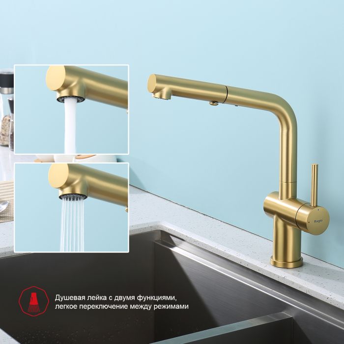 Смеситель для кухни с выдвижным изливом Raglo сатин золото R86.49.03