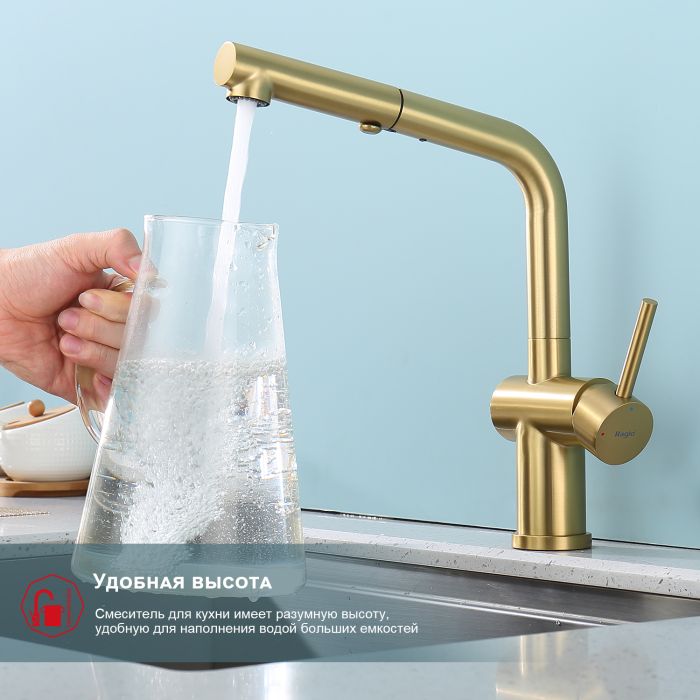 Смеситель для кухни с выдвижным изливом Raglo сатин золото R86.49.03
