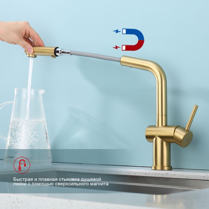 Смеситель для кухни с выдвижным изливом Raglo сатин золото R86.49.03