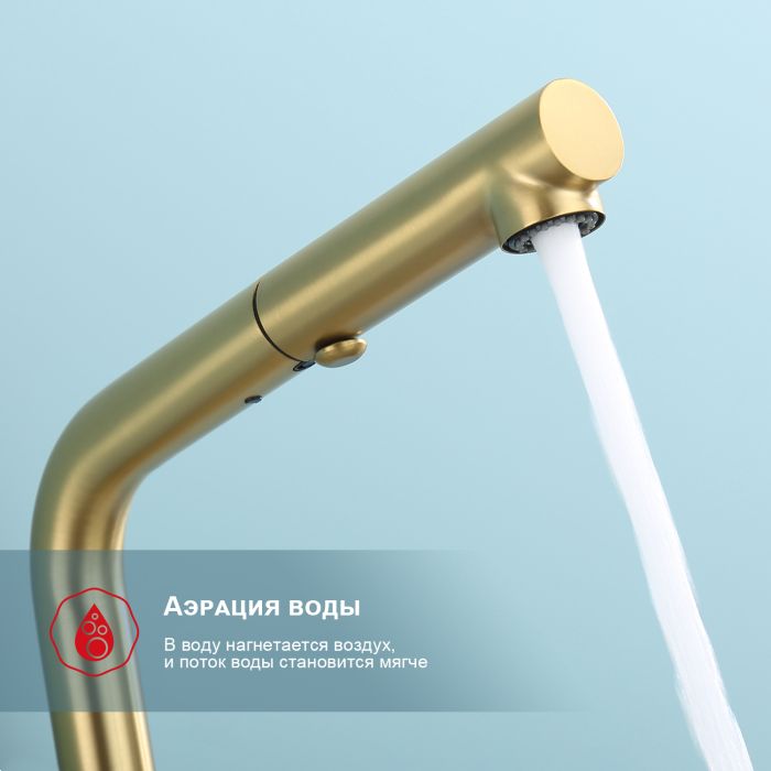 Смеситель для кухни с выдвижным изливом Raglo сатин золото R86.49.03