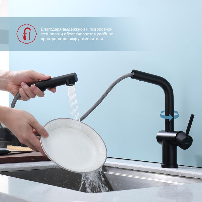 Смеситель для кухни с выдвижным изливом Raglo черный R86.49.06