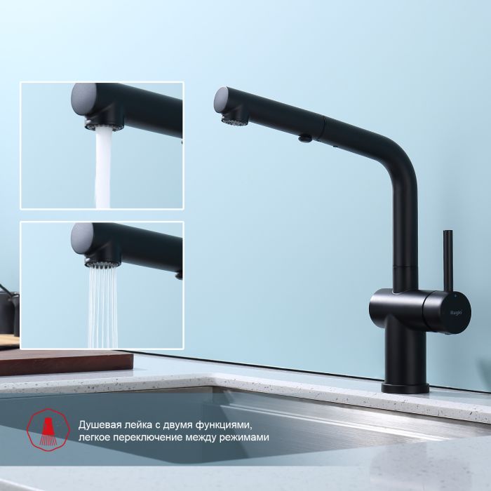Смеситель для кухни с выдвижным изливом Raglo черный R86.49.06