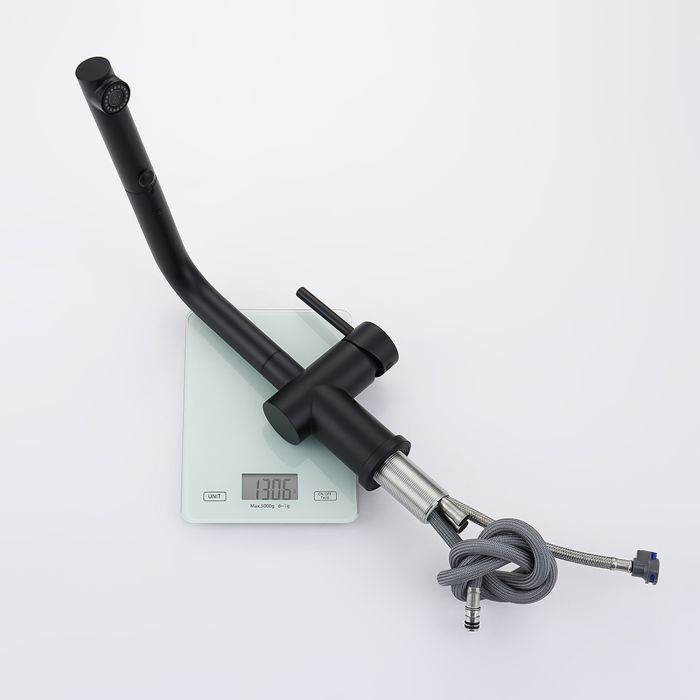 Смеситель для кухни с выдвижным изливом Raglo черный R86.49.06