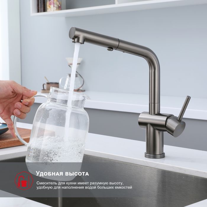 Смеситель для кухни с выдвижным изливом Raglo графит R86.49.09