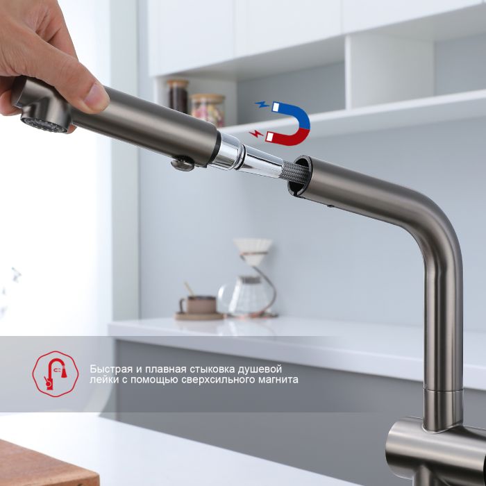 Смеситель для кухни с выдвижным изливом Raglo графит R86.49.09
