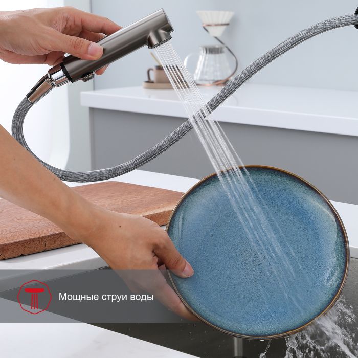 Смеситель для кухни с выдвижным изливом Raglo графит R86.49.09